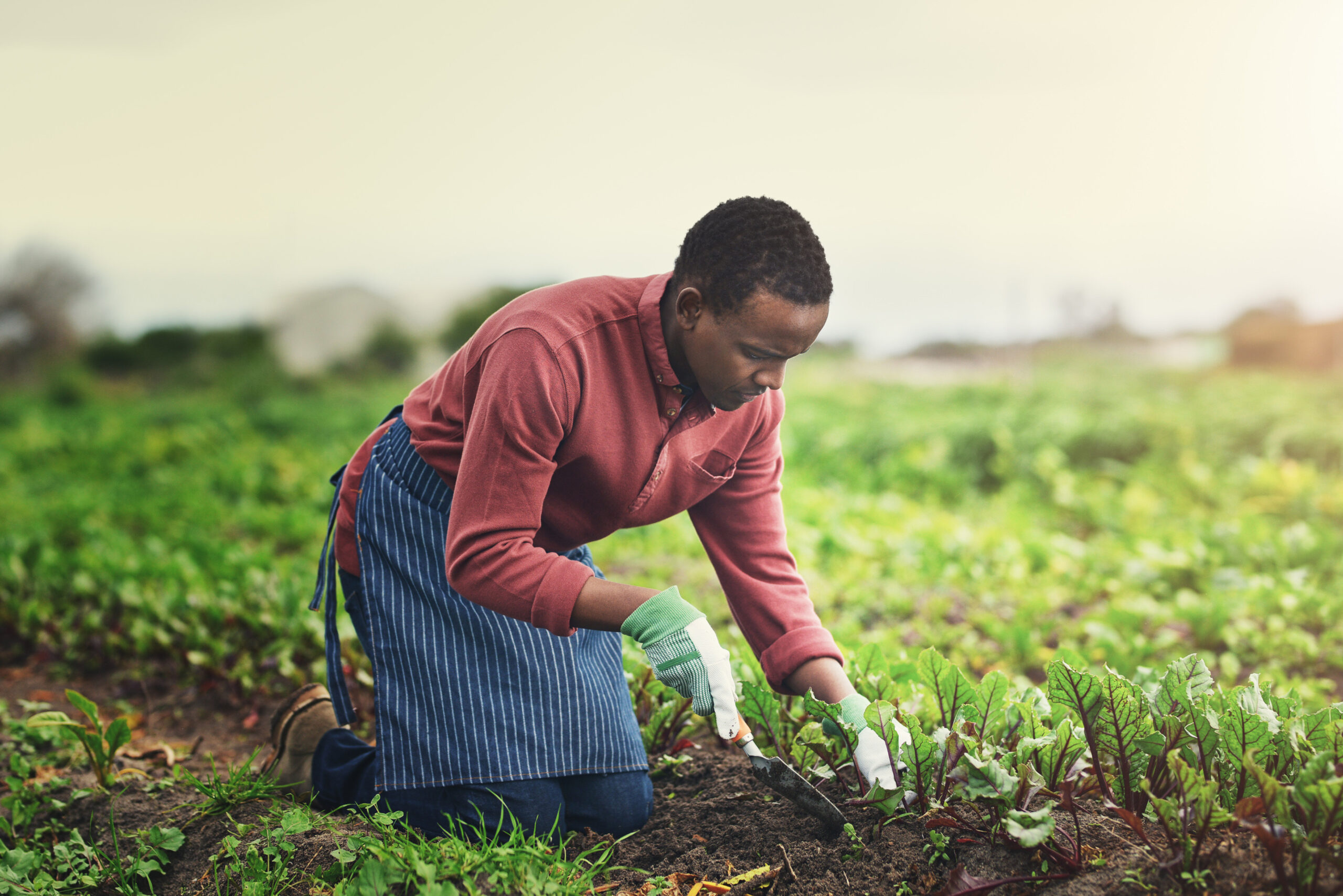 Living life green and clean. Full length shot of a handsome young male farmer planting seeds in his vineyard