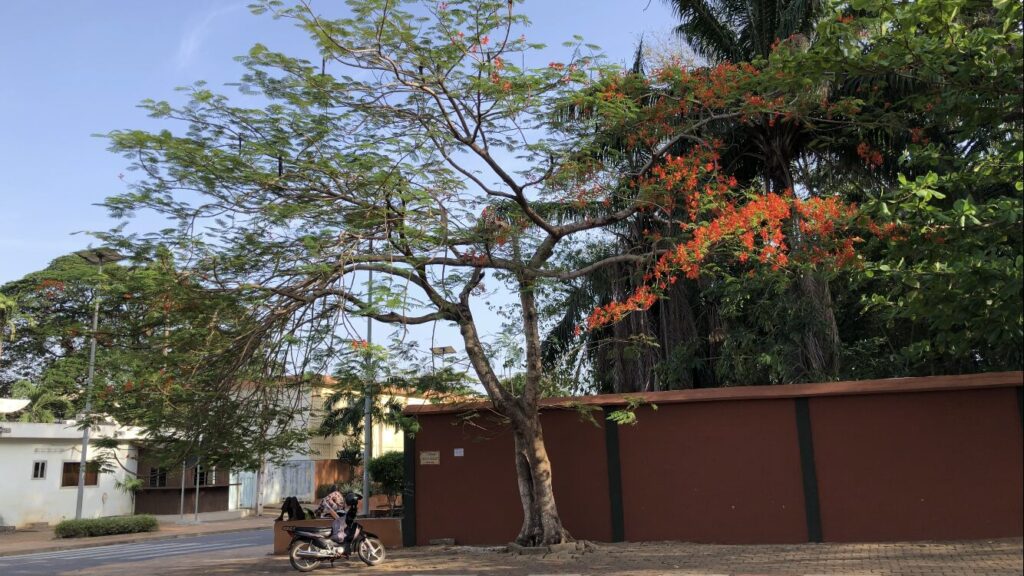 Climate-relief- Green-Benin