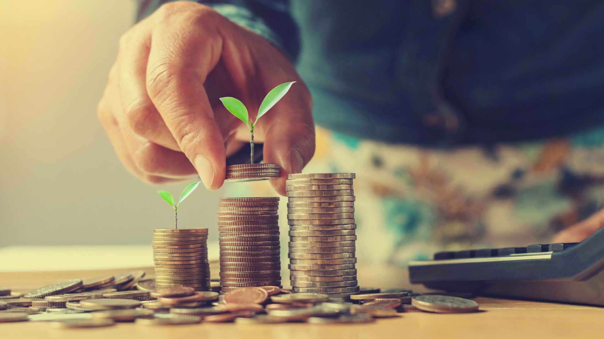 businesswoman holding money with plant growing on coins and putting stack, finance accounting concept